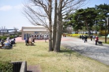 無料開園