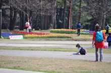 無料開園