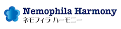 ネモフィラハーモニー