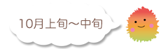 2017グラデコキアの時期