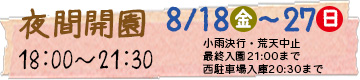 ライトアップ案内