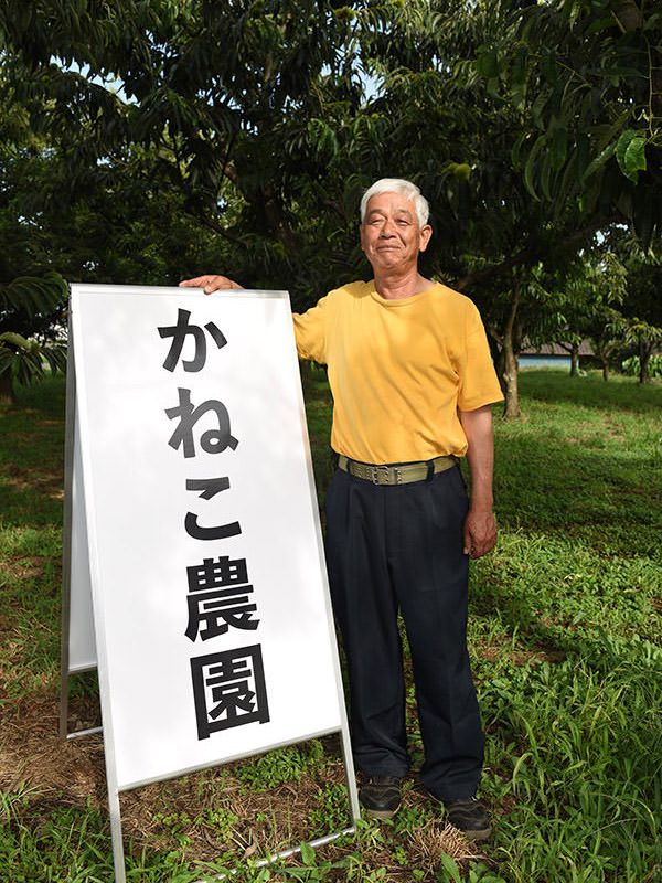 「栗拾い体験を楽しんでください」