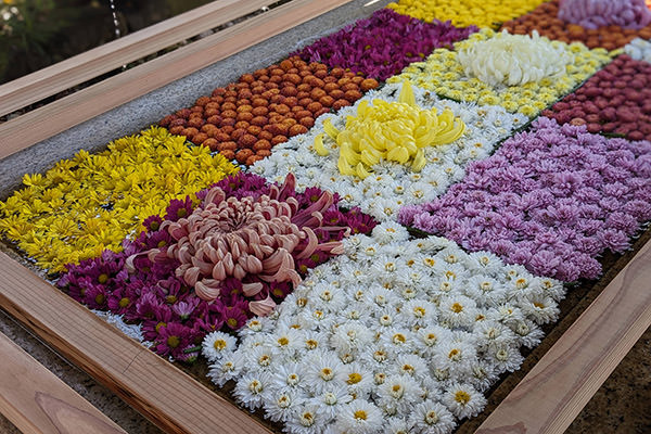 手水舎の花(提供写真)と、屋根まわりの彫刻