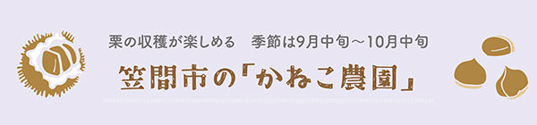 栗の収穫が楽しめる 季節は9月中旬〜10月中旬 笠間市の「かねこ農園」
