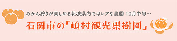 みかん狩りが楽しめる茨城ではレアな農園 10月中旬〜 石岡市の「嶋村観光果樹園」