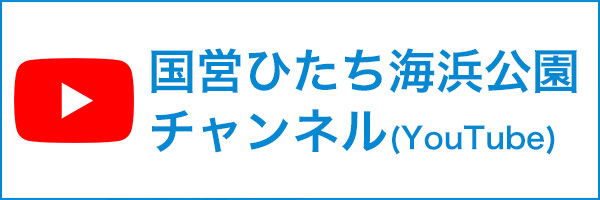 国営ひたち海浜チャンネル