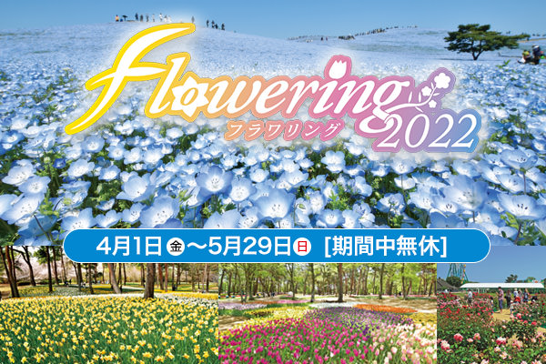 フラワリング(FLOWERING)2021