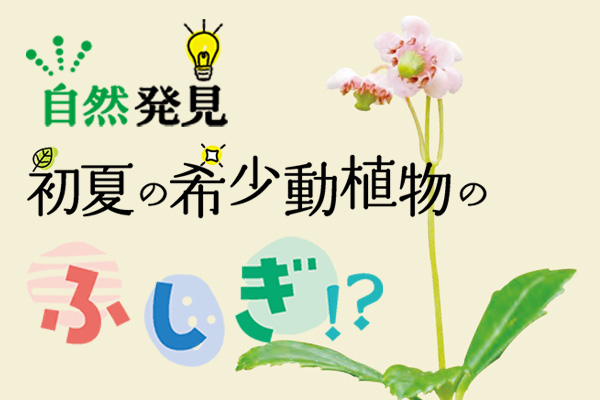 自然発見・初夏の希少動植物のふしぎ