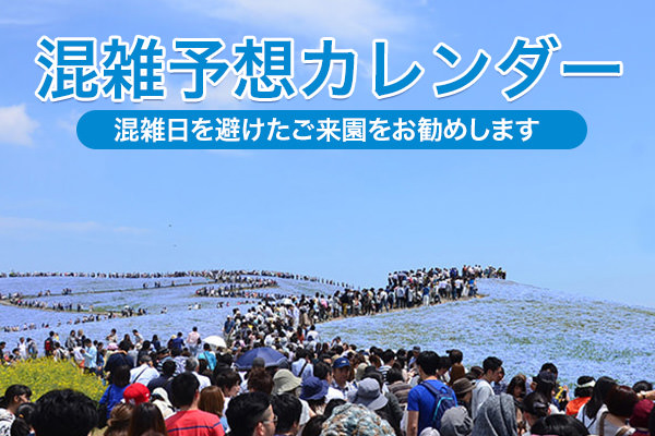 混雑予想カレンダー2023春