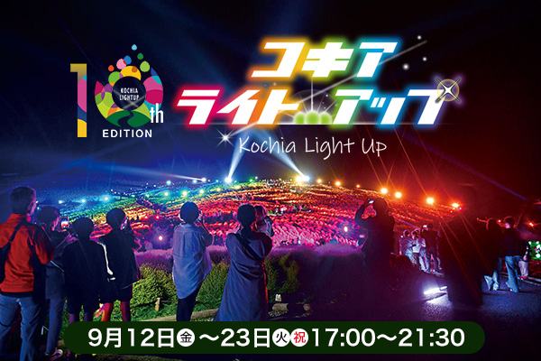 コキアライトアップ