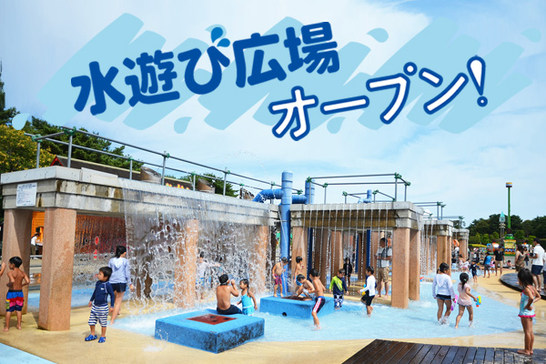 水遊び広場オープン