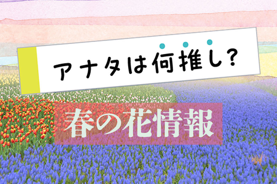 春の花情報 〜あなたはなに“花”推し？〜