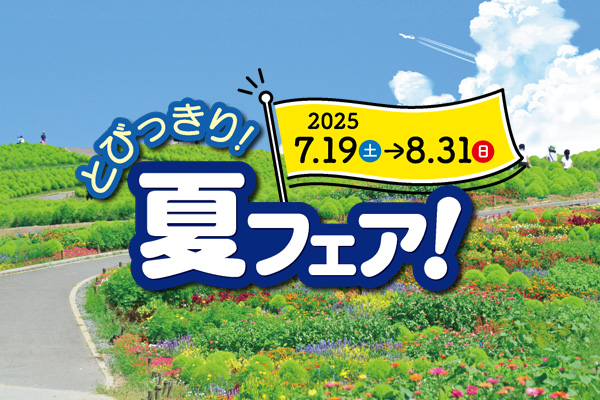 とびっきり！夏フェア！