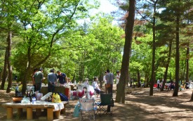 バーベキュー広場 国営ひたち海浜公園