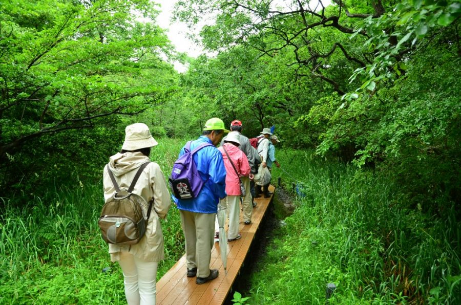 沢田湧水地