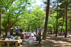 バーベキュー広場 国営ひたち海浜公園