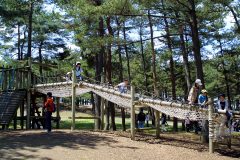 林間アスレチック広場 国営ひたち海浜公園