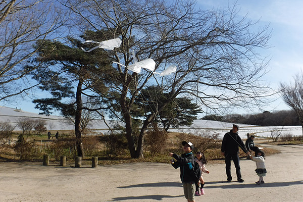 ぽっかぽか冬フェア 18 国営ひたち海浜公園