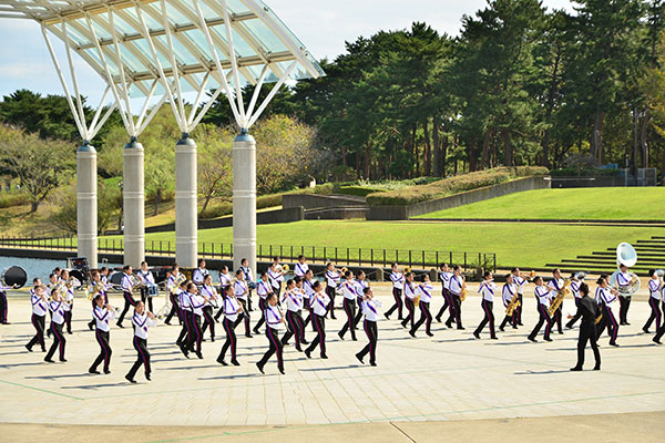 ルックアット 国営ひたち海浜公園