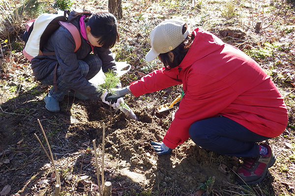 公園の森づくり