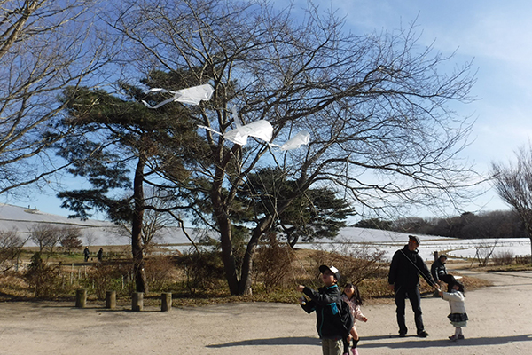 干支の巨大地上絵 国営ひたち海浜公園