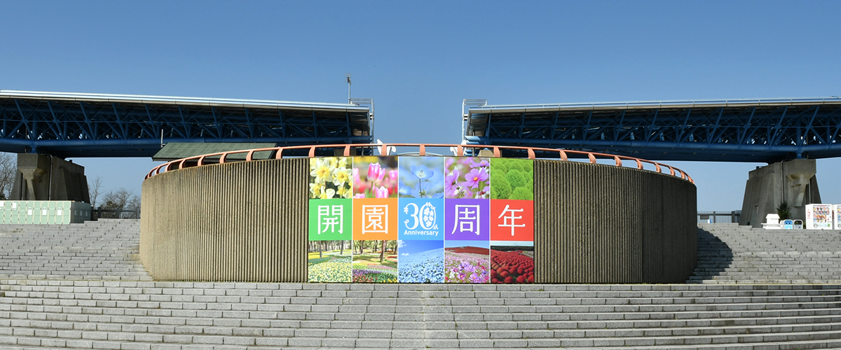 国営ひたち海浜公園 海と空と緑がともだち ひたち海浜公園は 茨城県ひたちなか市にある国営公園です