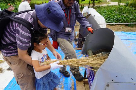 ブログ – ページ 15 – 国営ひたち海浜公園