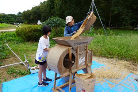 新品 ミニ 屏風 B型 重ね織り木簾