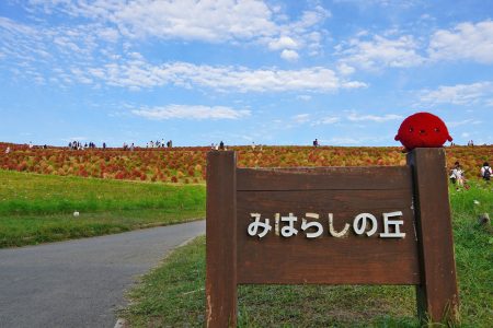 ブログ – 国営ひたち海浜公園