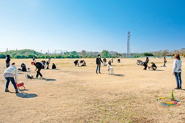 愛犬との暮らし方教室