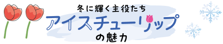 アイスチューリップの魅力