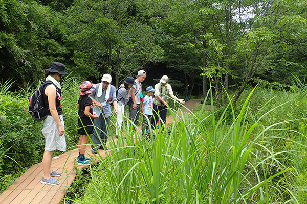 沢田湧水地