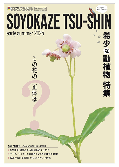 そよかぜ通信