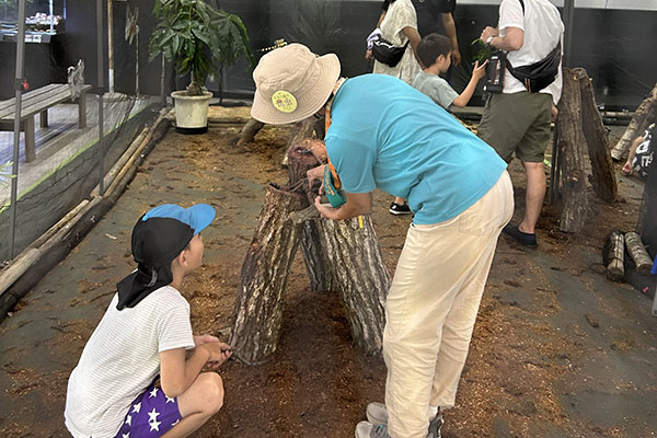カブトムシに触ってみよう